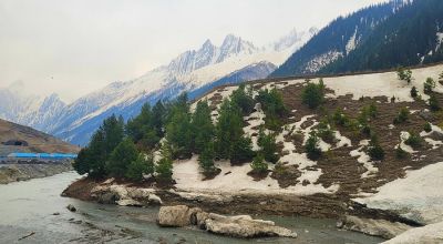 Baltal Travel Guide