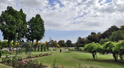 Tourist Places in Chandigarh