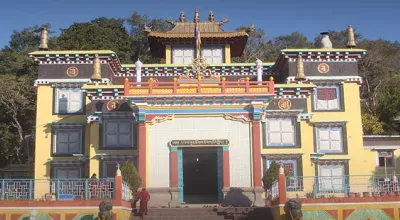 Palampur Travel Guide