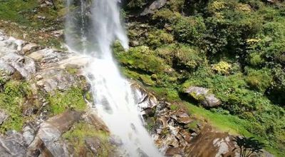 Pelling
