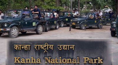 Kanha Travel Guide