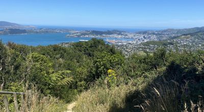 Wellington
