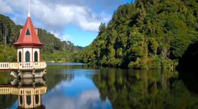 Wildlife in New Zealand