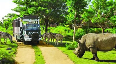 Wildlife in Vietnam