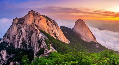 Wildlife in South Korea