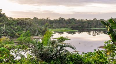 Amazonas