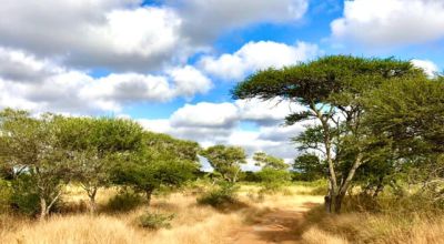 Limpopo