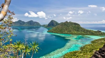 Wildlife in Indonesia