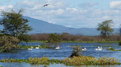 Hill Stations Tour in Kenya
