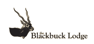 The Blackbuck Lodge