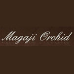 Magaji Orchid