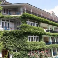 Hotel Pine Grove Manali Image