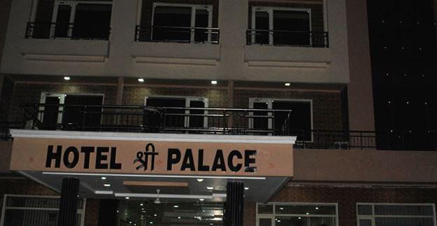 Hotel Shree Palace