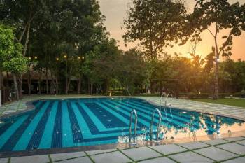 Swimming Pool Back Lawn