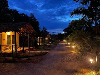 Cottages Under Starlit Sky
