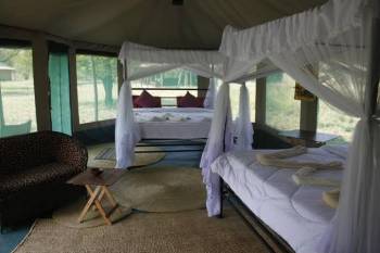 Double bed room