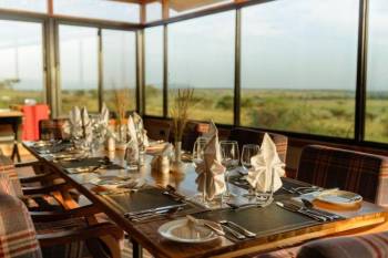 Salinero Serengeti