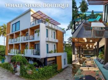 Whale Shark Boutique