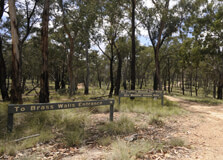 Abercrombie River National Park