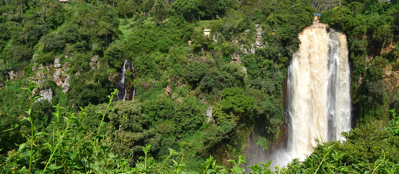 Aberdare National Park