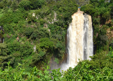 Aberdare National Park in Nyeri