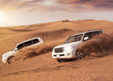 Abu Dhabi Desert Safari in Abu Dhabi