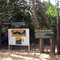 Abuko Nature Reserve in Abuko