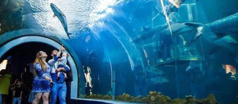 Acuario de Veracruz