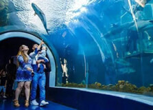 Acuario de Veracruz in Poza Rica