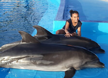 Agadir Dolphin World in Agadir