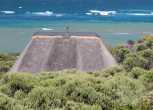 Agulhas National Park in Western Cape