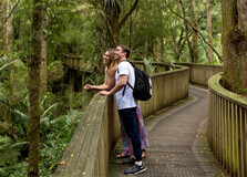A. H. Reed Memorial Park in Whangarei