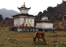 Aja Ney in Mongar