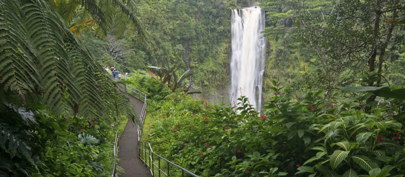 Akaka Falls State Park