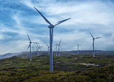 Albany Wind Farm in Albany