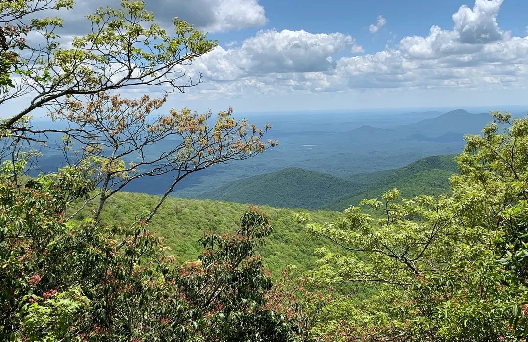 Alerce Andino National Park in Los Lagos