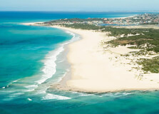 Algoa Bay Cruises in Gqeberha
