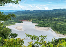 Amacayacu National Park in Amazonas
