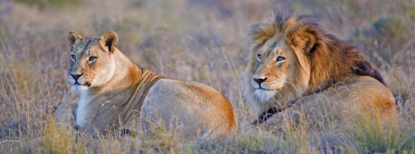 Amakhala Game Reserve in Eastern Cape