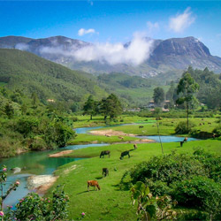 Anamudi Peak in Munnar