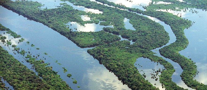 Anavilhanas Islands