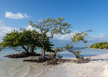 Annes Beach in Florida (Fl)