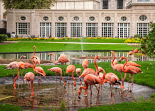 Antwerp Zoo in Antwerp