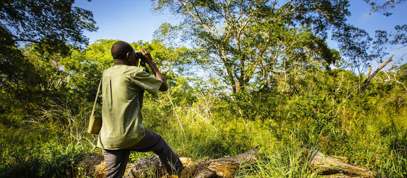 Arabuko Sokoke National Park