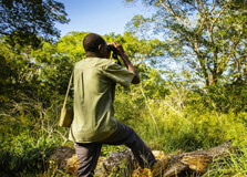 Arabuko Sokoke National Park in Mombasa
