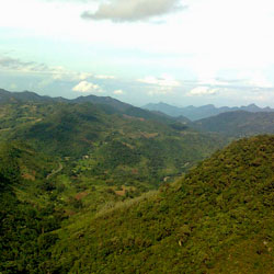 Araku Valley in Visakhapatnam