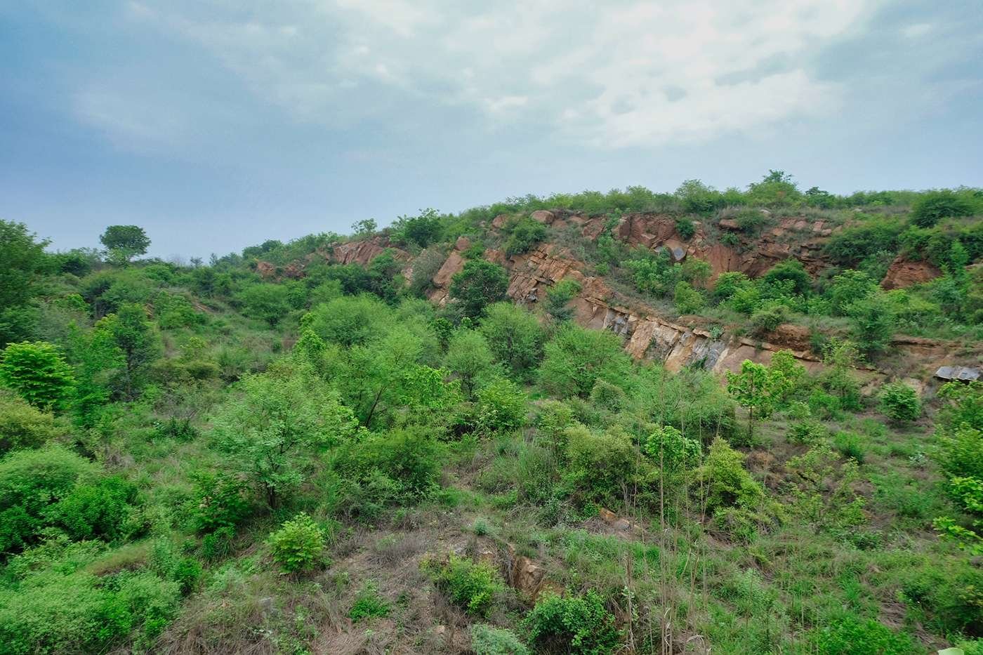 Aravalli Biodiversity Park in Gurgaon