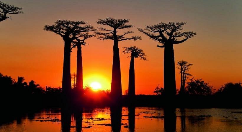 Best Places to Visit in Madagascar