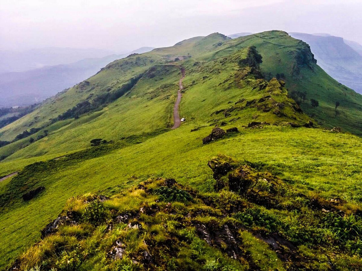 Baba Budangiri in Chikmagalur