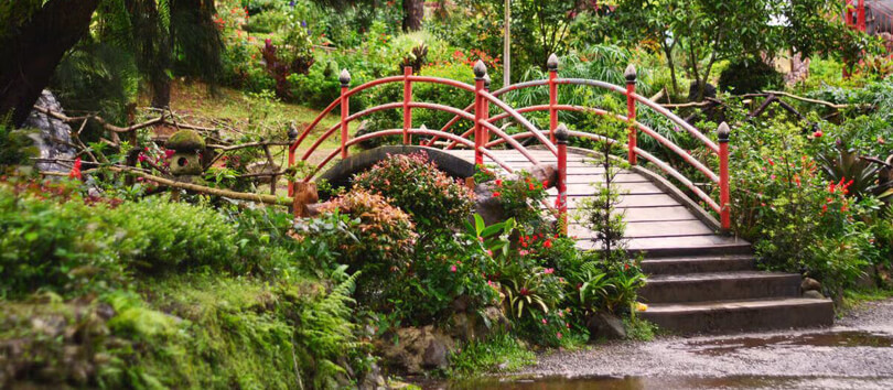 Baguio Botanical Garden